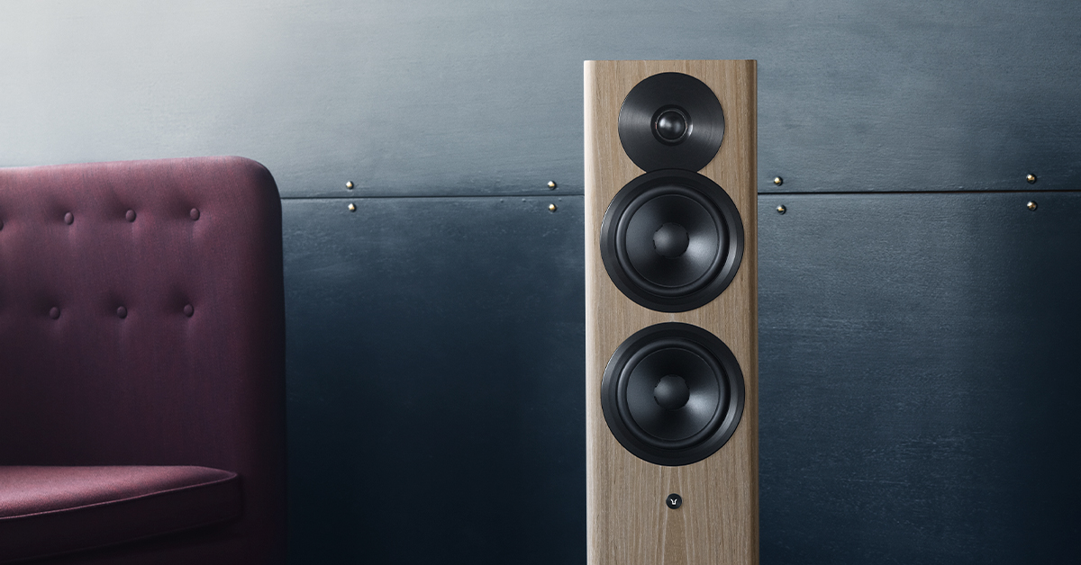 Focus 30 - Best Picks 2025 - Lite-magazin